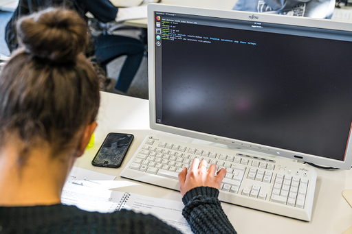 Einstieg in die Informatik - just4girls